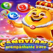 acompanhante irece