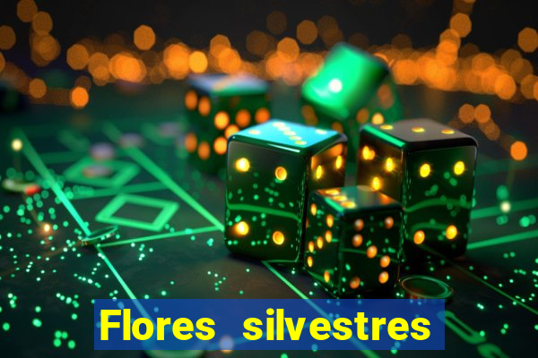 Flores silvestres brasileiras brasileiras flores silvestres nomes e imagens