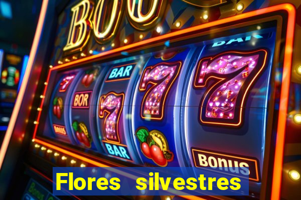 Flores silvestres brasileiras brasileiras flores silvestres nomes e imagens