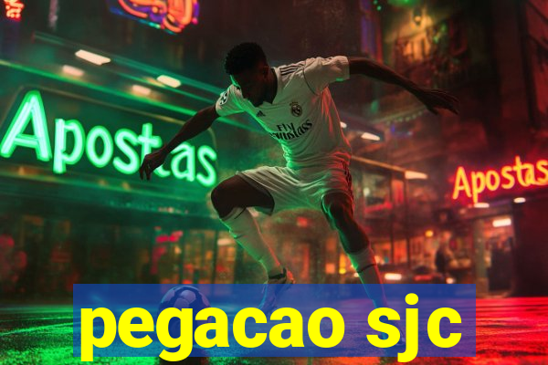 pegacao sjc