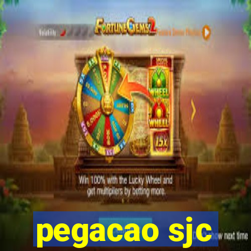 pegacao sjc