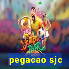 pegacao sjc