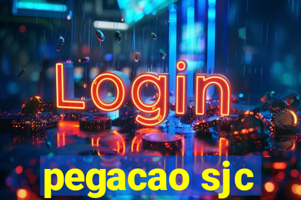 pegacao sjc