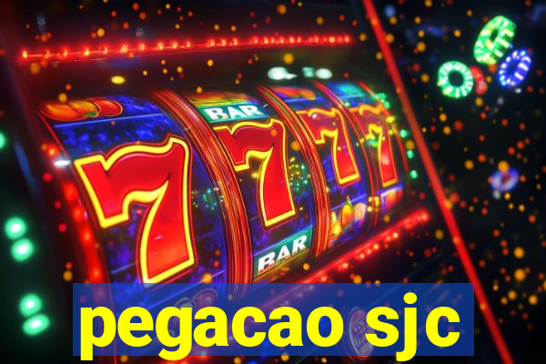 pegacao sjc