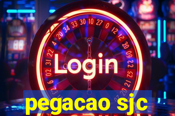 pegacao sjc