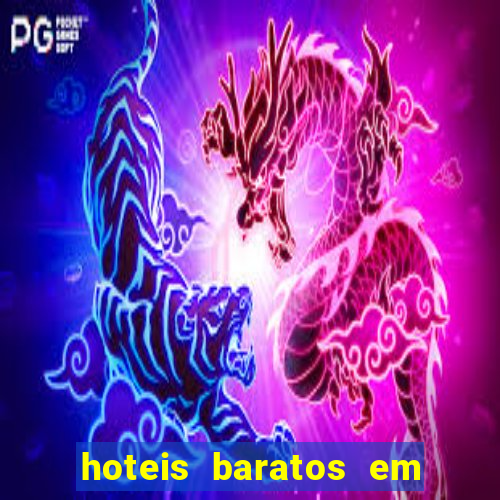 hoteis baratos em cruzeiro sp