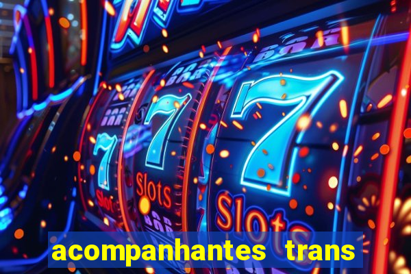 acompanhantes trans baixada fluminense