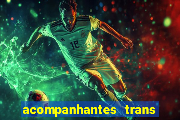 acompanhantes trans baixada fluminense