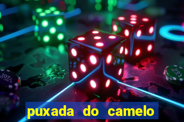 puxada do camelo no jogo do bicho