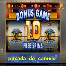 puxada do camelo no jogo do bicho