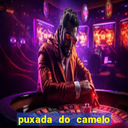 puxada do camelo no jogo do bicho