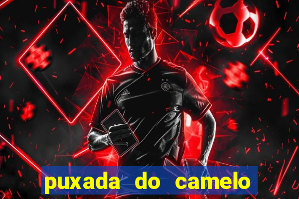 puxada do camelo no jogo do bicho