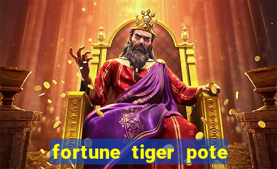 fortune tiger pote de ouro