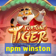 npm winston