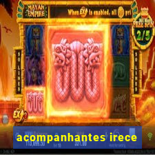 acompanhantes irece