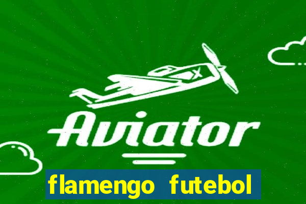 flamengo futebol play hd