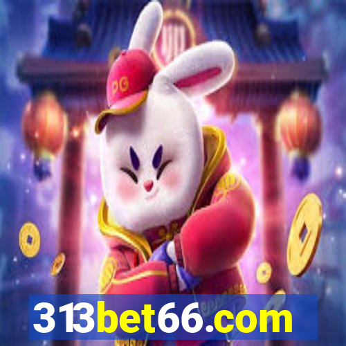 313bet66.com