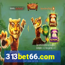 313bet66.com