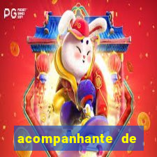 acompanhante de nova mutum