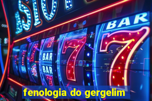 fenologia do gergelim