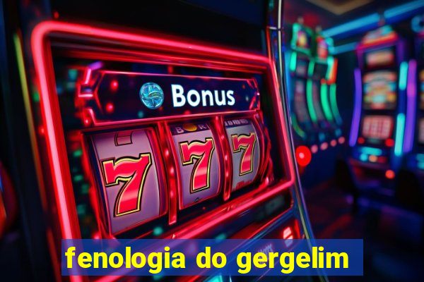 fenologia do gergelim