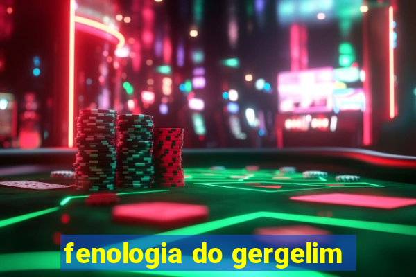 fenologia do gergelim