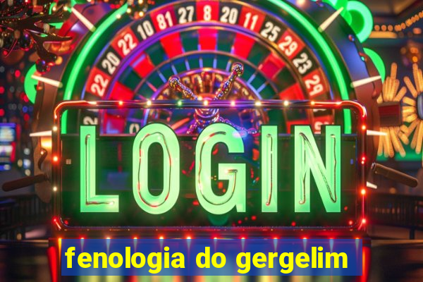 fenologia do gergelim