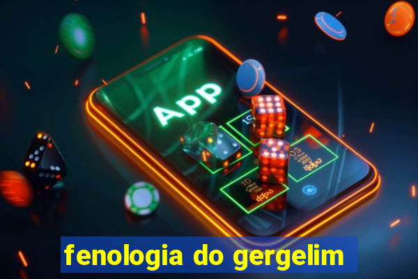 fenologia do gergelim