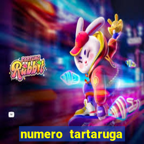 numero tartaruga jogo do bicho