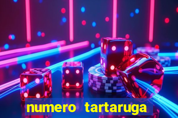 numero tartaruga jogo do bicho