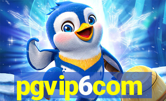 pgvip6com