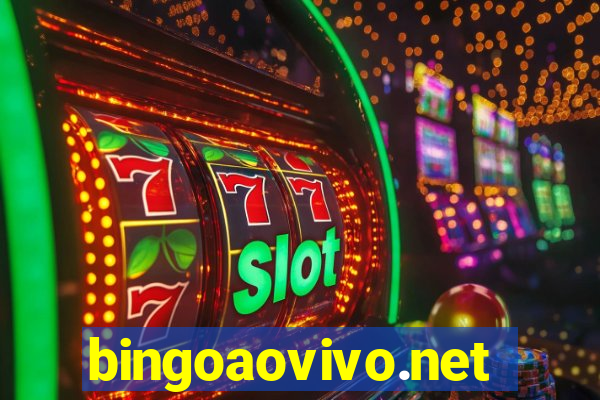 bingoaovivo.net