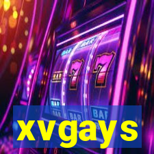 xvgays