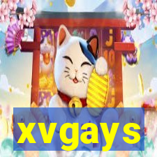 xvgays