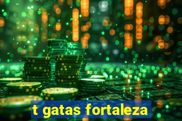 t gatas fortaleza