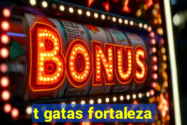 t gatas fortaleza