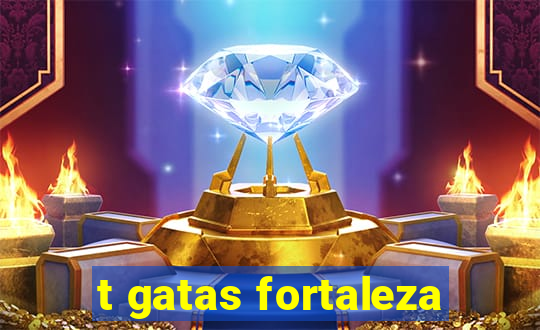 t gatas fortaleza