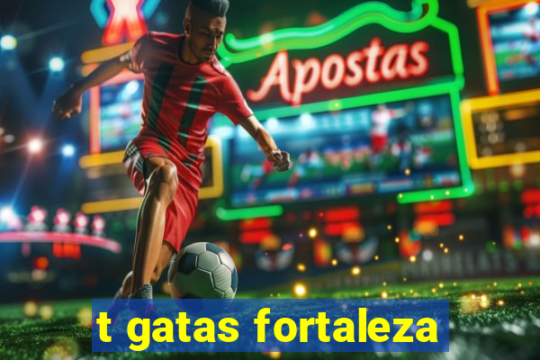 t gatas fortaleza