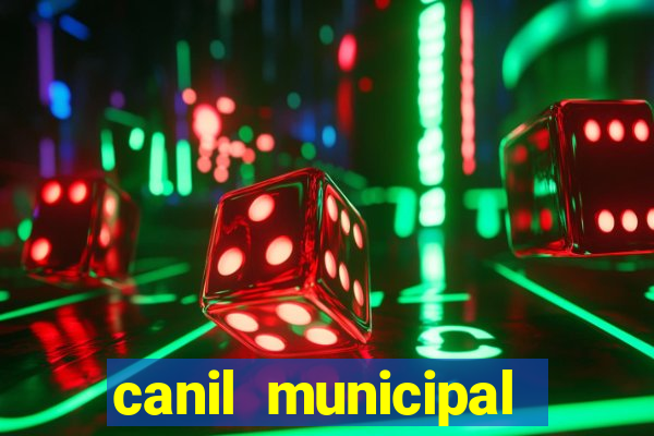 canil municipal porto alegre