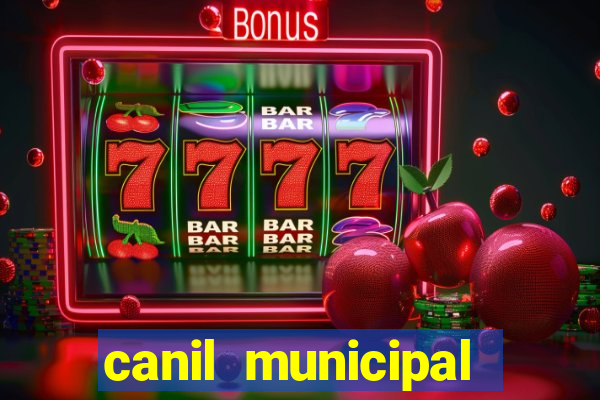 canil municipal porto alegre