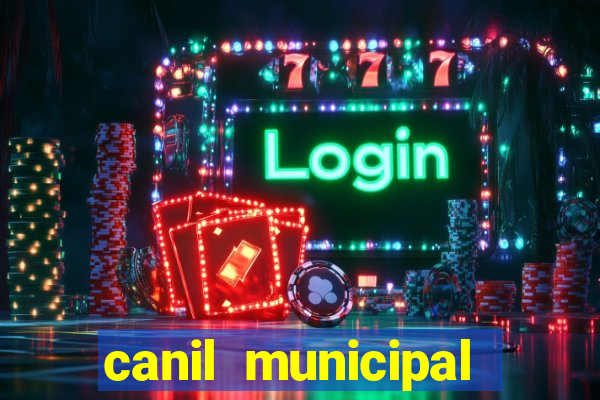 canil municipal porto alegre