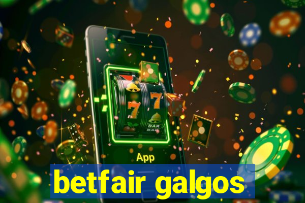 betfair galgos