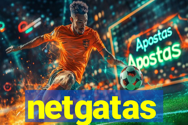 netgatas