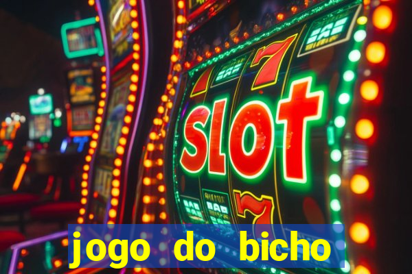 jogo do bicho documentario globoplay