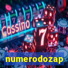 numerodozap