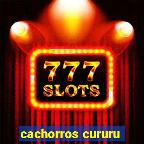 cachorros cururu