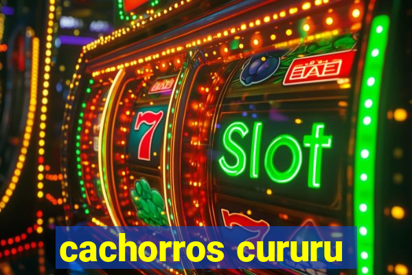 cachorros cururu