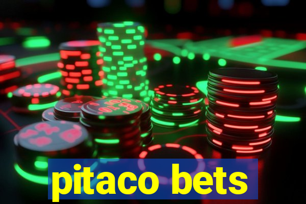 pitaco bets