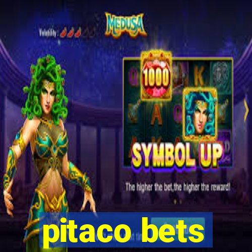 pitaco bets