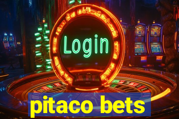 pitaco bets